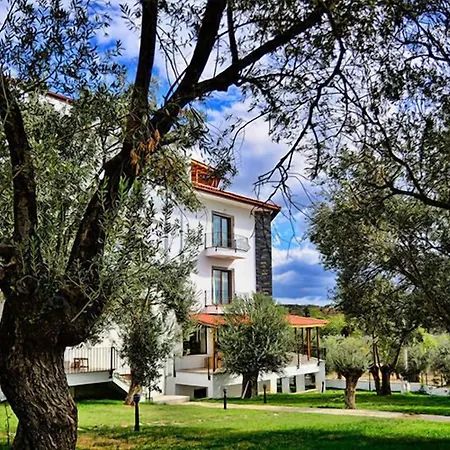 Отель Elaia Thermal & *