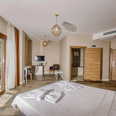 Отель Elaia Thermal &