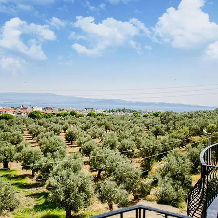 Elaia Thermal & * Гюре