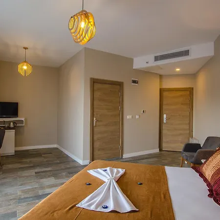 Отель Elaia Thermal & Гюре