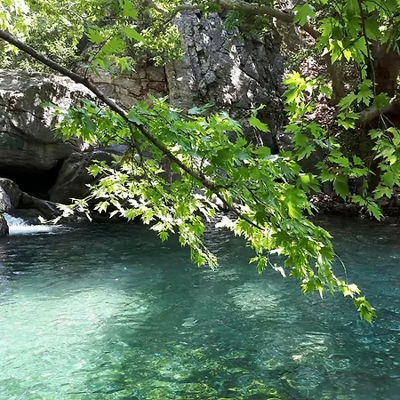 Elaia Thermal & * Гюре