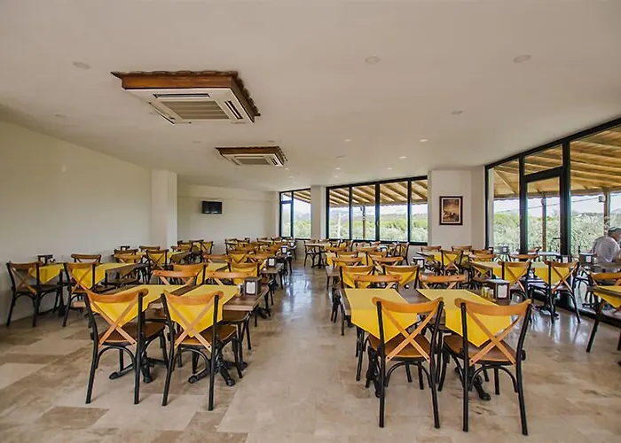 فندق Elaia Thermal & *