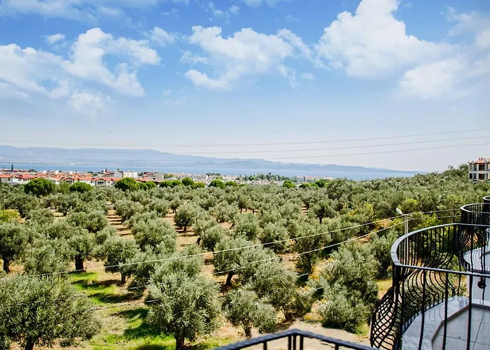 Elaia Thermal & * غوري