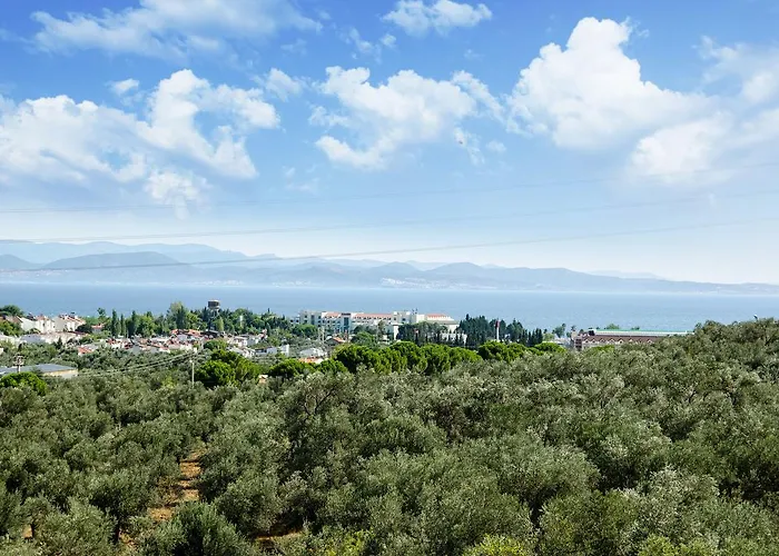 Elaia Thermal & غوري